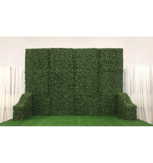 Square Boxwood Hedge