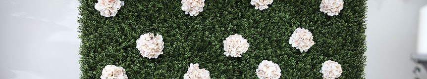 Faux Wall Hedges